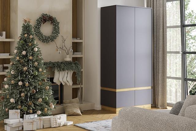 Шкаф распашной Exeed - 2 Графит