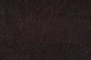 Кресло-кровать Тополек Venzel Beige