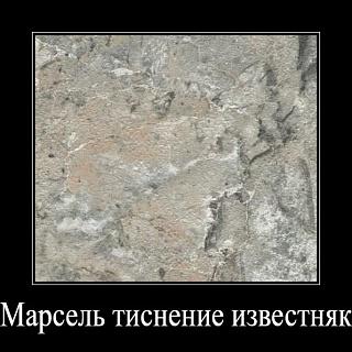 Тумба Лира КС.004.800-01 (467ср)