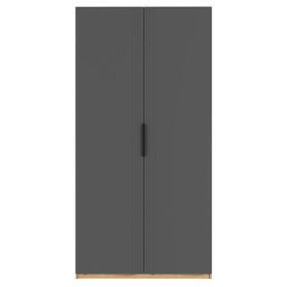 Шкаф распашной Астрис - 3 Графит