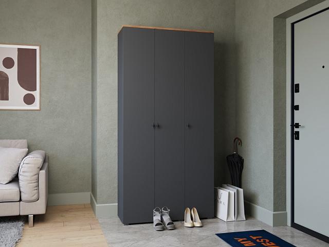 Шкаф распашной Квели - 3 Графит