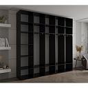 Шкаф распашной Люксор - 5 Черный