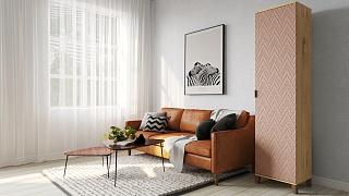 Шкаф распашной Марвин Йорк - 1 Роза