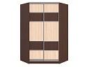Шкаф-купе угловой Оскар - 12