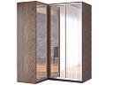 Шкаф-купе угловой Премьер - 1