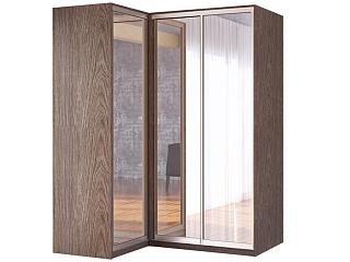 Шкаф-купе угловой Премьер - 1