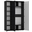 Шкаф распашной Синтра 3 Черный