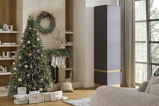 Шкаф распашной Exeed - 1 Графит