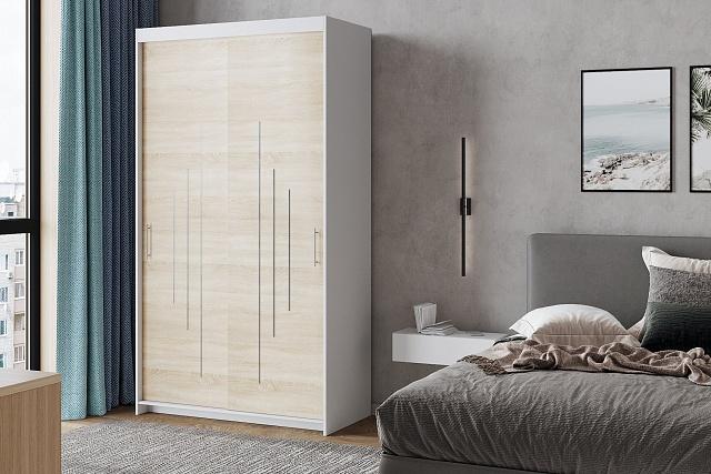 Шкаф-купе Валмиера - 2