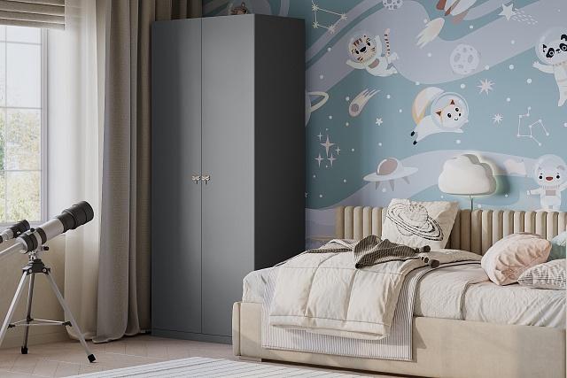 Шкаф распашной Стрекоза - 2 МДФ Графит