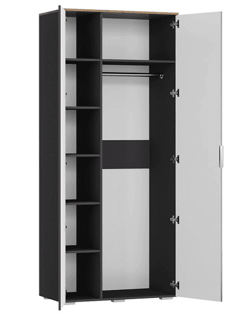 Шкаф распашной Салерно 2 Графит