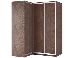 Шкаф-купе угловой Премьер - 2