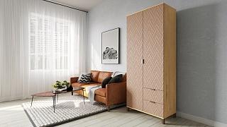 Шкаф распашной Марвин Йорк - 3 Роза