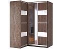 Шкаф-купе угловой Премьер - 28