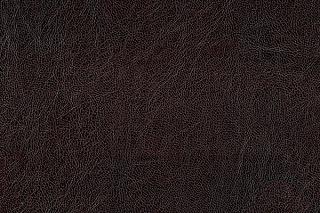 Кресло-кровать Тополек England 2