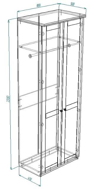Шкаф распашной София РАХ - 2 МДФ Графит