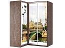 Шкаф-купе угловой Премьер - 18