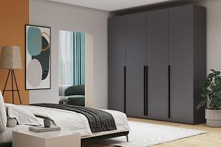 Шкаф распашной Лорена Пакс - 4 Графит