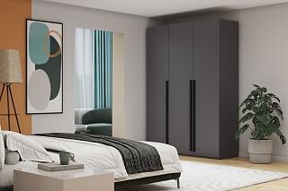 Шкаф распашной Лорена Пакс - 3 Графит