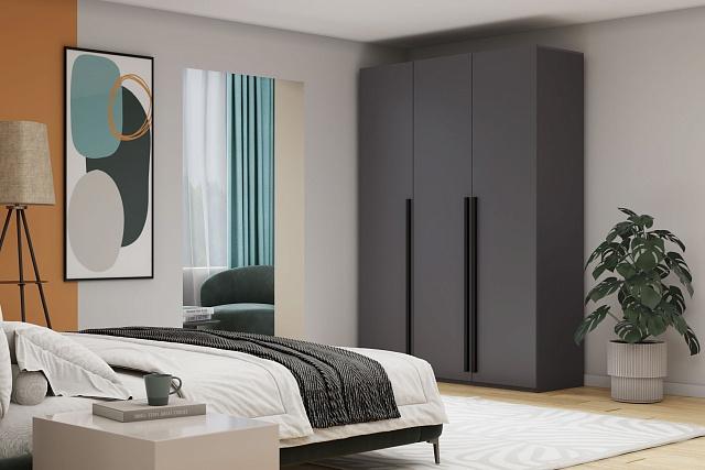 Шкаф распашной Лорена Пакс - 3 Графит