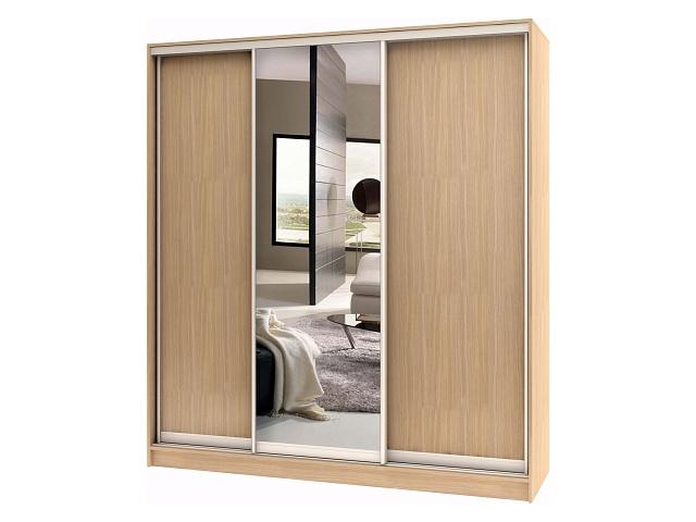 Шкаф-купе Стандарт - 3.2