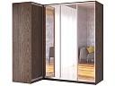 Шкаф-купе угловой Премьер - 7
