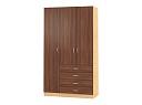 Шкаф распашной Рио - 3.9