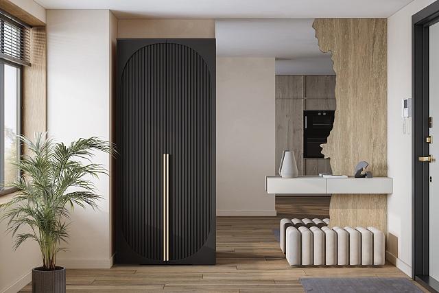 Шкаф распашной Брей - 1 Черный