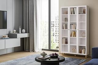 Библиотека Билли Сканди - 11