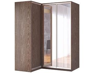 Шкаф-купе угловой Премьер - 4