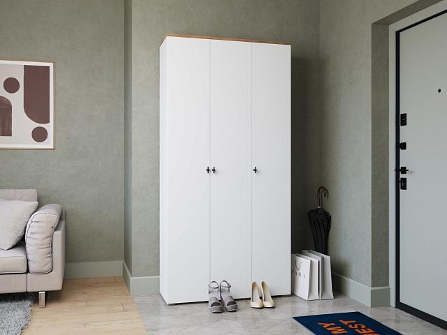 Шкаф распашной Квели - 3.1 Белый