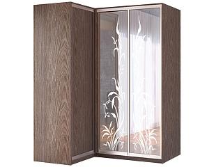 Шкаф-купе угловой Премьер - 9