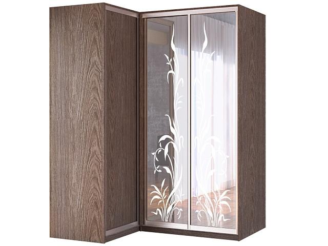 Шкаф-купе угловой Премьер - 9
