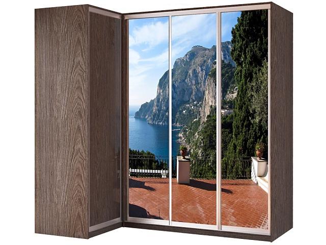 Шкаф-купе угловой Премьер - 22