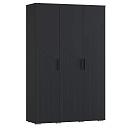 Шкаф распашной Синтра 3 Черный