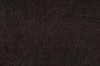 Кресло-кровать Тополек Jatka beige