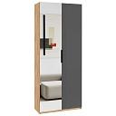 Шкаф распашной Астрис - 2 с зеркалом Графит