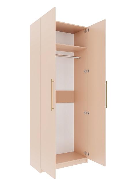 Шкаф распашной Калифорния - 2 Сатин