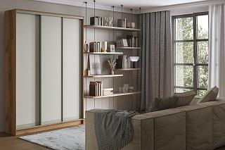 Шкаф-купе Борнео - 3.1К Дуб Делано