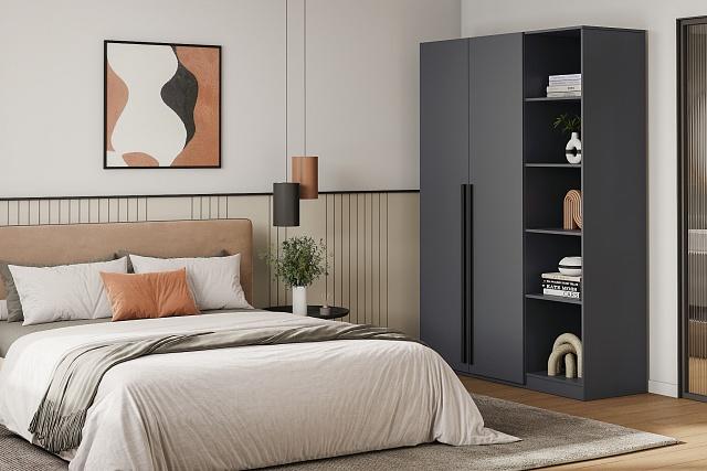 Шкаф распашной Лорена Пакс - 2.1 Графит