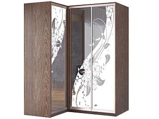 Шкаф-купе угловой Премьер - 11