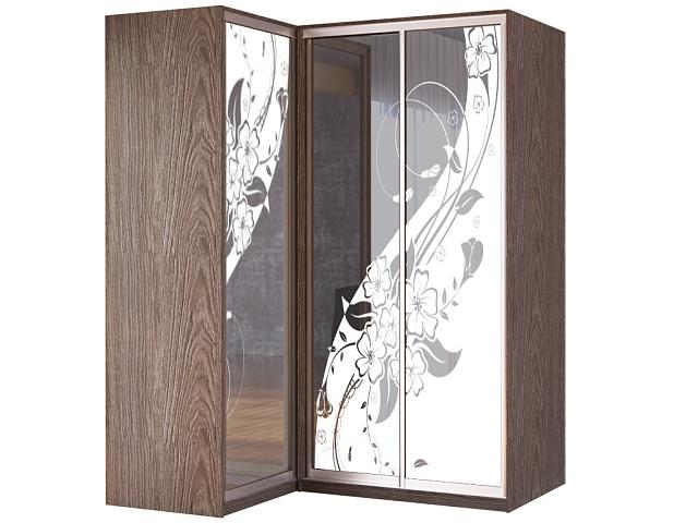 Шкаф-купе угловой Премьер - 11