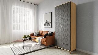 Шкаф распашной Марвин Йорк - 3 Графит