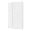 Шкаф распашной Калифорния - 3 Белый