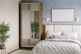 Шкаф-купе Борнео - 2.6С Дуб Делано