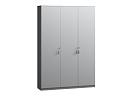 Шкаф распашной Монтана - 3 Стальной Серый