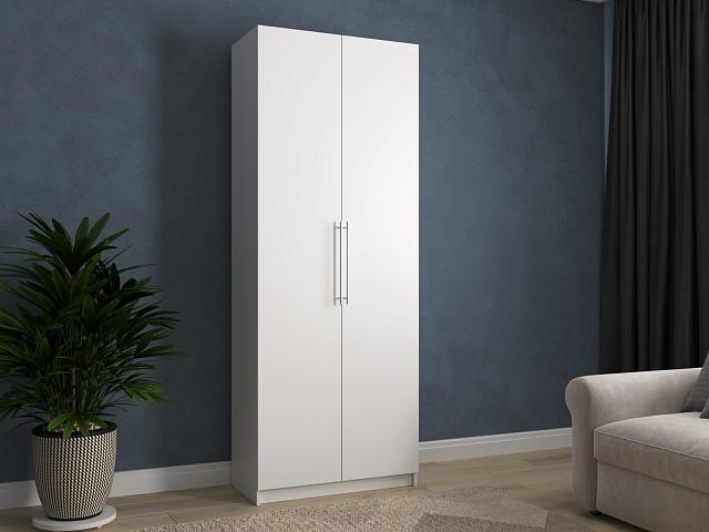 Шкаф распашной Калифорния - 2 Белый