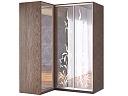 Шкаф-купе угловой Премьер - 10