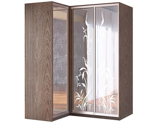 Шкаф-купе угловой Премьер - 10