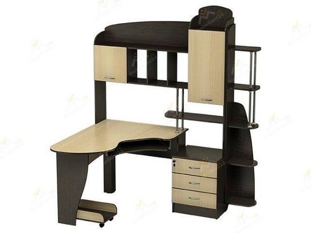 Компьютерный стол СКТ - 25